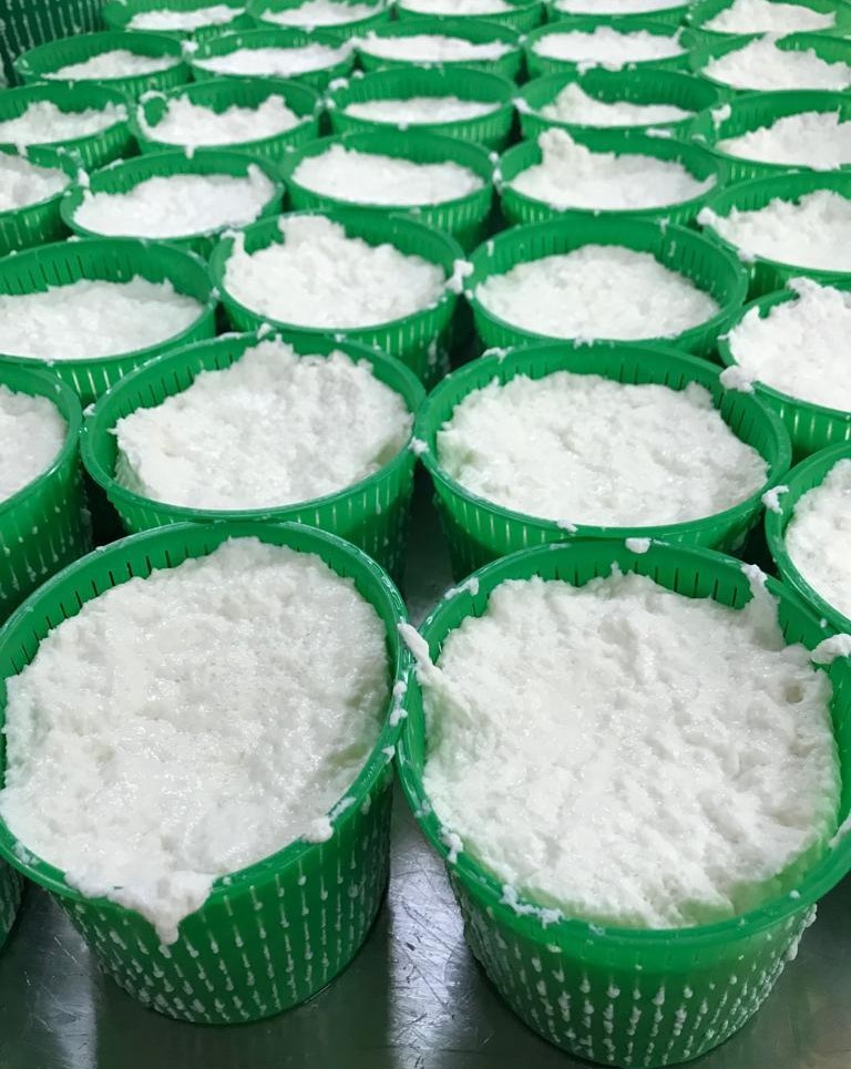 Ricotta fresca di pecora