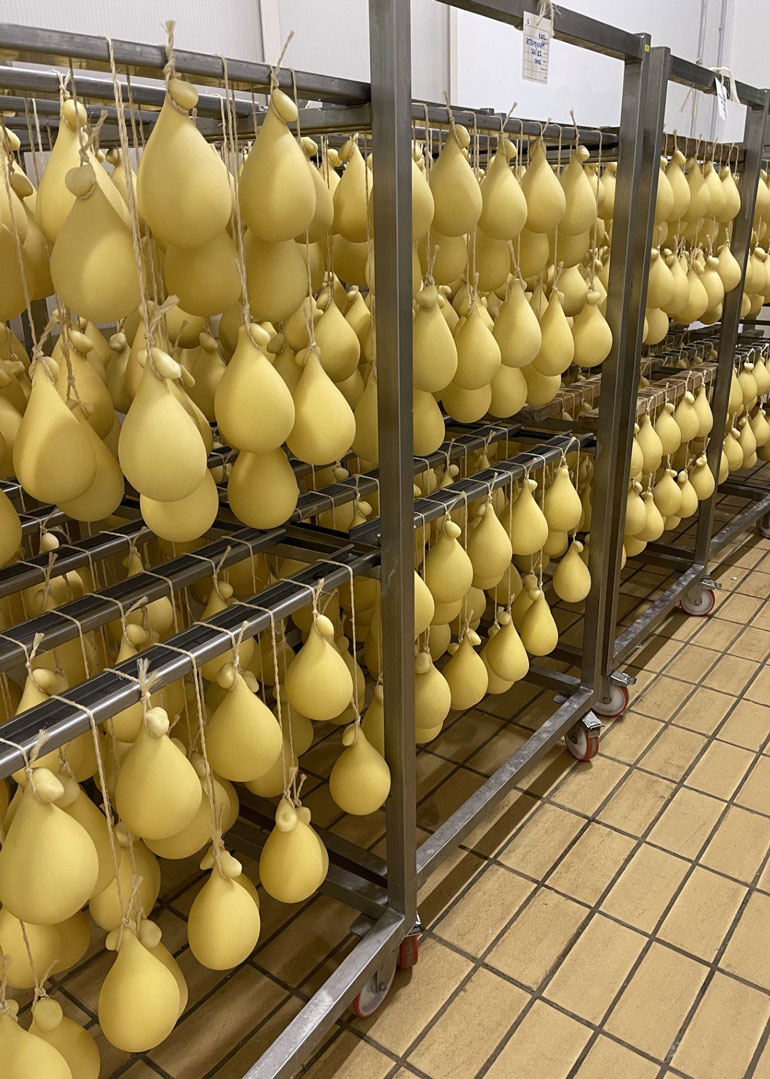 Provola della Sicilia